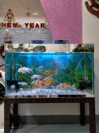 Thư giản sau 1 ngày làm việc
