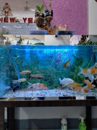 Thư giản sau 1 ngày làm việc