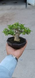 Vô kèo nhẹ đầu tuần. Thanks chú!!! Tuần mới vui vẻ nhé cả nhà