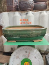 Chậu đồng nai đẹp, 280k một em bao ship 