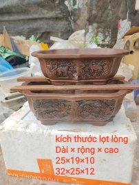 Chậu tàu 360k bao ship một đôi