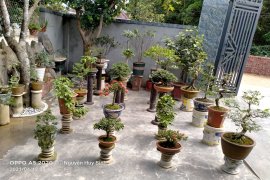Vườn yêu