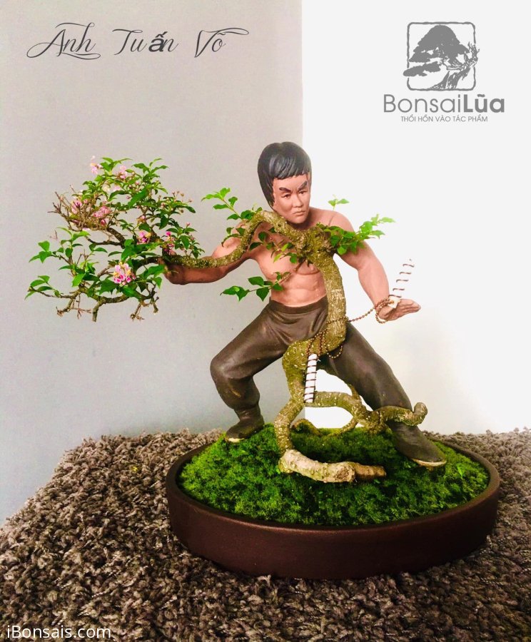 TP: Hồng Mai côn quyền