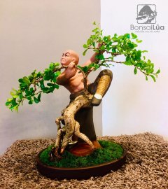 TP: KHẤU THỦ TRIỆT CHI QUYỀN