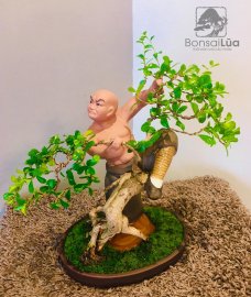 TP: KHẤU THỦ TRIỆT CHI QUYỀN