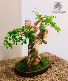 TP: KHẤU THỦ TRIỆT CHI QUYỀN