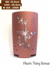 Chương trình 10K của vườn cộng đồng: Mua chậu xịn chỉ với 10K