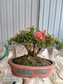 Anh cùng khám phá
