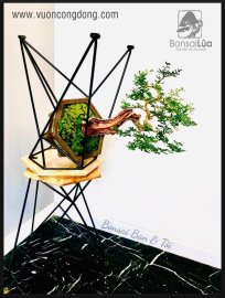 “Mọi ước mơ đều có thể thực hiện được bằng sự kiên nhẫn”