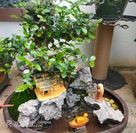 Nghỉ lễ với đam mê