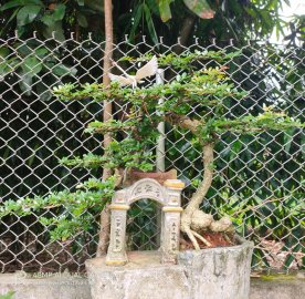 Nghỉ lễ với đam mê