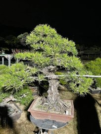 Thông số 9 nhập tịch cuối tháng này anh em quan tâm ib em.