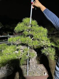 Thông số 9 nhập tịch cuối tháng này anh em quan tâm ib em.