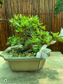 Cuối tuần gl vài em Quyên