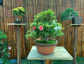 Cuối tuần gl vài em Quyên