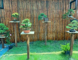Cuối tuần gl vài em Quyên