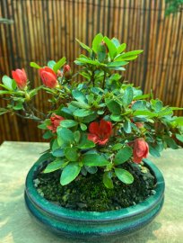 Cuối tuần gl vài em Quyên