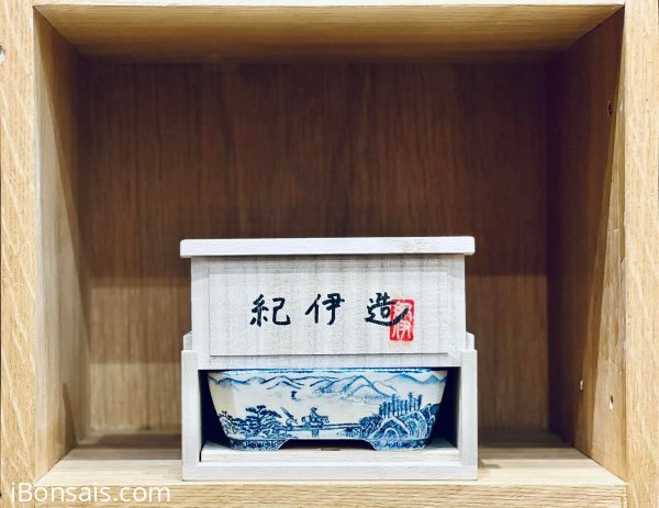 Chậu Damashi vẽ tay Nhật Bản