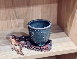 Chậu Bigei Nhật Bản