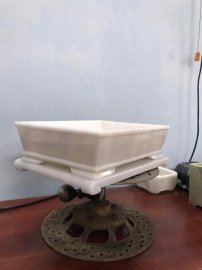 Trắng tinh khôi