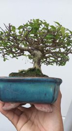 Mai chiếu thủy mini !!