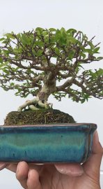 Mai chiếu thủy mini !!