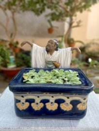 Vườn thiền cảnh vắng cỏ hoa thơm