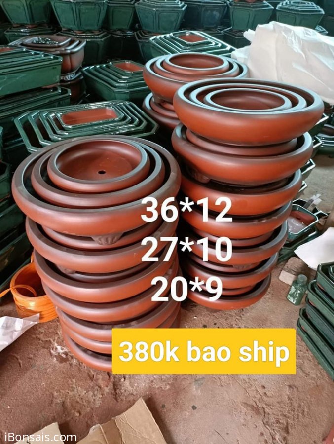 2 mẫu tròn dày dặn nhà em