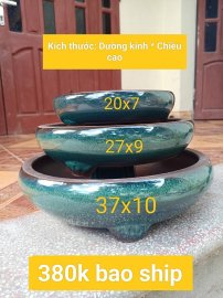 2 mẫu tròn dày dặn nhà em