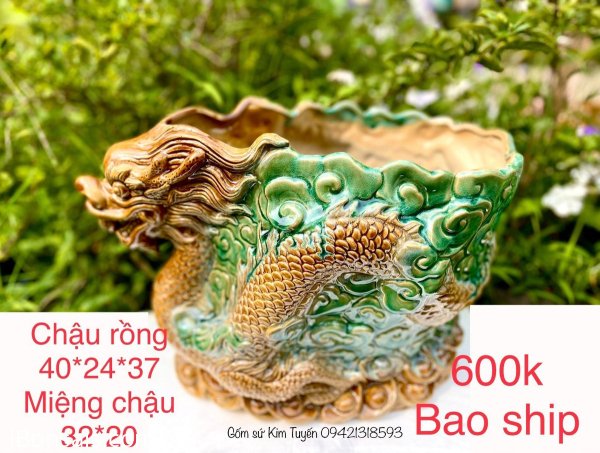 Chậu rồng