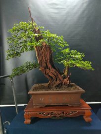 Sell off tối nay, mời ace vào xem live nhé!