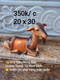 Phụ kiện tiểu cảnh