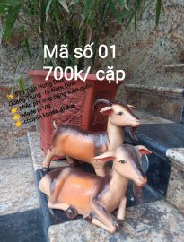 Phụ kiện tiểu cảnh