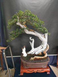 Trắc nghệ lũa đẹp gl