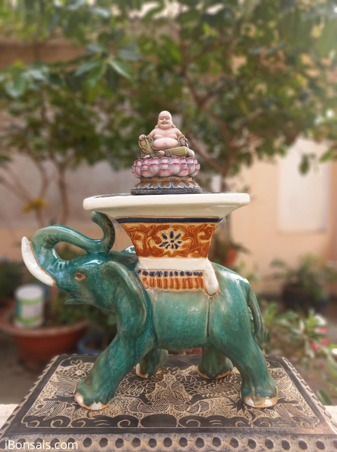 Di Lạc an vui