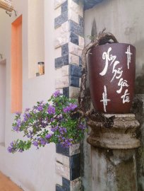 Linh sam chia sẻ Ae