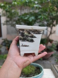 Chậu chơi đa diện các mặt