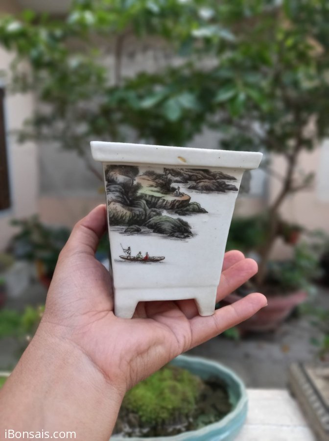 Chậu chơi đa diện các mặt