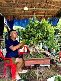 Hoàn thành tác phẩm hải châu sông cầu