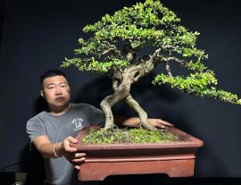 Hoàn thành tác phẩm hải châu sông cầu