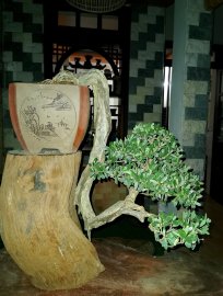 Linh sam khai thác giá vừa chơi