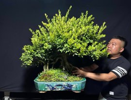 Cụ hải châu rể quái gl cùng ae 