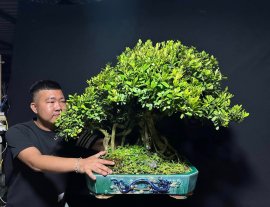 Cụ hải châu rể quái gl cùng ae 
