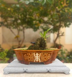 Tác phẩm: Miền Ký Ức