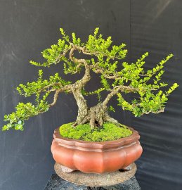 Hoà bình là nơi em đến