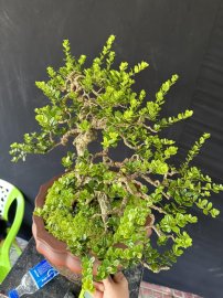 Hoà bình là nơi em đến