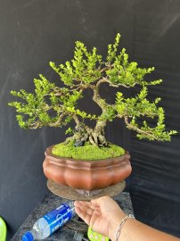 Hoà bình là nơi em đến