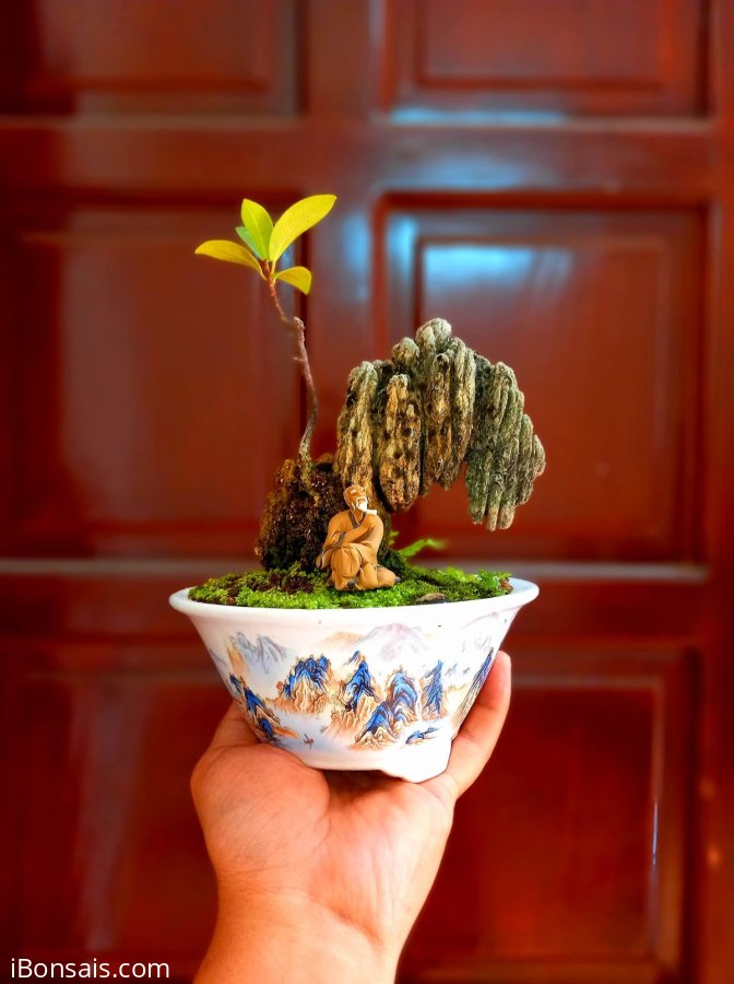 Cố lên tôi nhé…