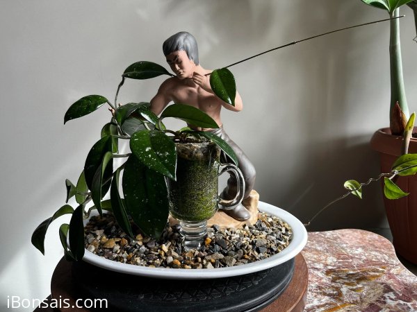 Cool mini scene: Bruce Lee is playing Kungfu in Hoya garden