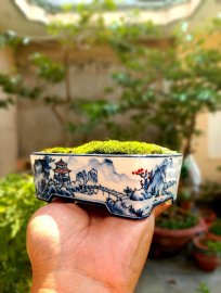 Vẽ tay mịn nét căng đét